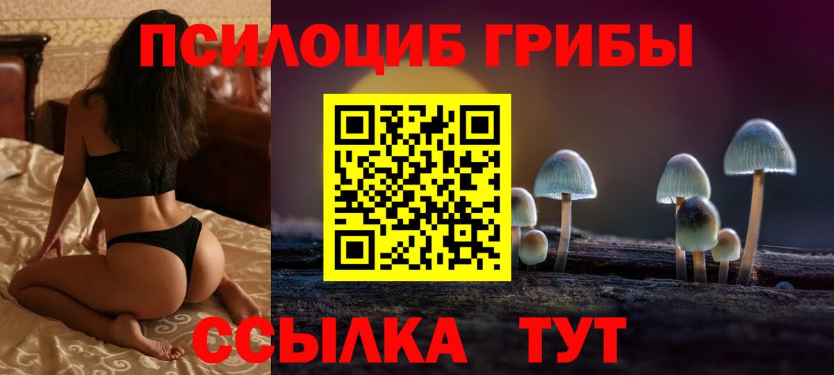 Галлюциногенные грибы ЛСД Тутаев